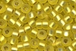 11-006F - Matte Silver Lined Yellow