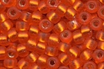 11-008F - Matte Silver Lined Orange