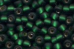 11-027F - Matte Silver Lined Dk Emerald